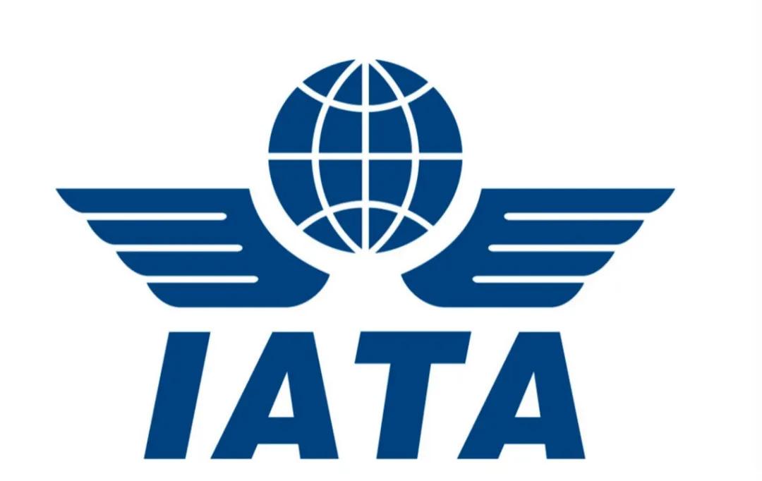 国际航协：供应链中断致2021年11月份航空货运增长腰斩